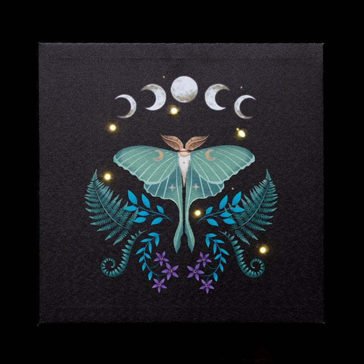 Luna Moth Light Up Wall Plaque