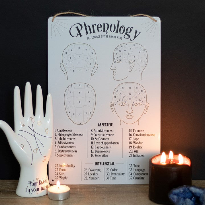 Phrenology Metal Sign