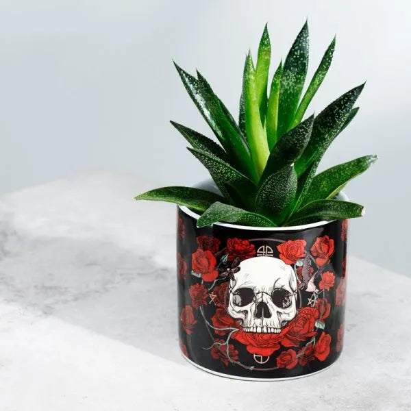 Skull and Rose Pot