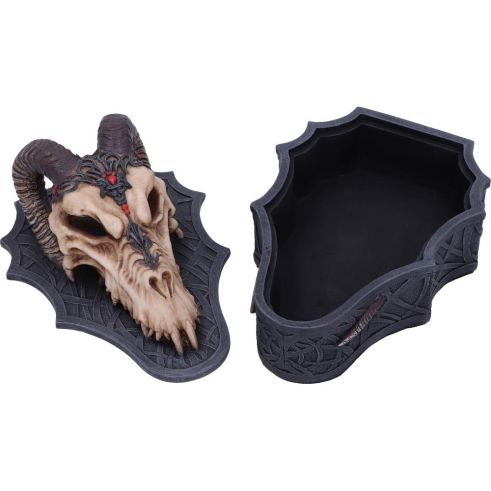 Dragon Skull Box 17.7cm