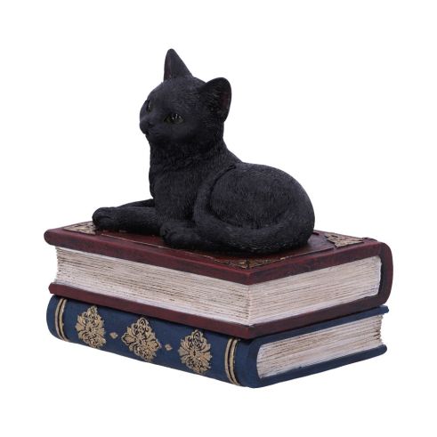 Salems Spells Witches Familiar Black Cat and Spellbook Box