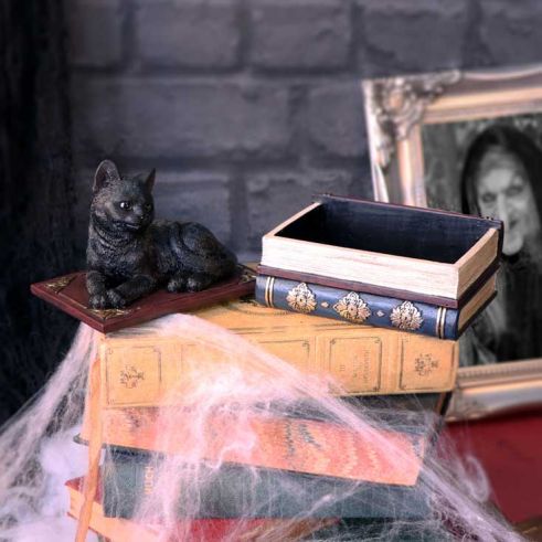 Salems Spells Witches Familiar Black Cat and Spellbook Box