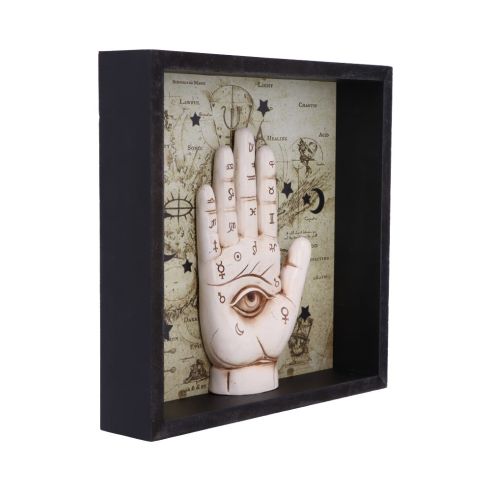 Palmistry Companion Framed Chiromancy Wall Mounted Art