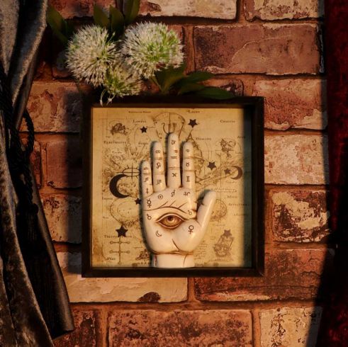 Palmistry Companion Framed Chiromancy Wall Mounted Art