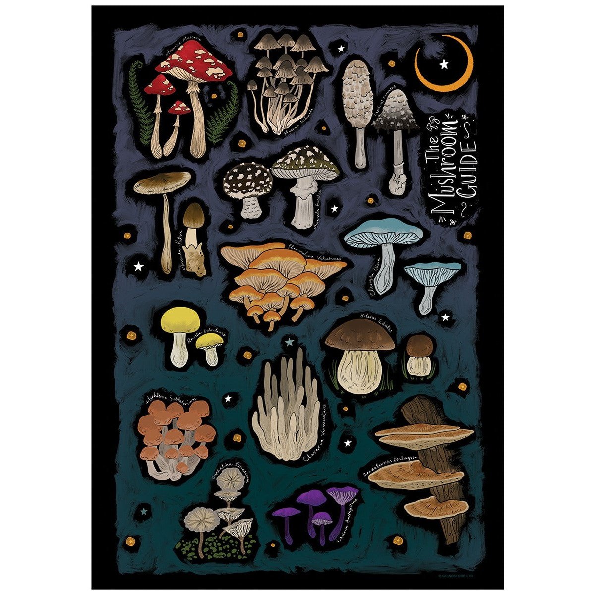 The Mushroom Guide Mini Poster