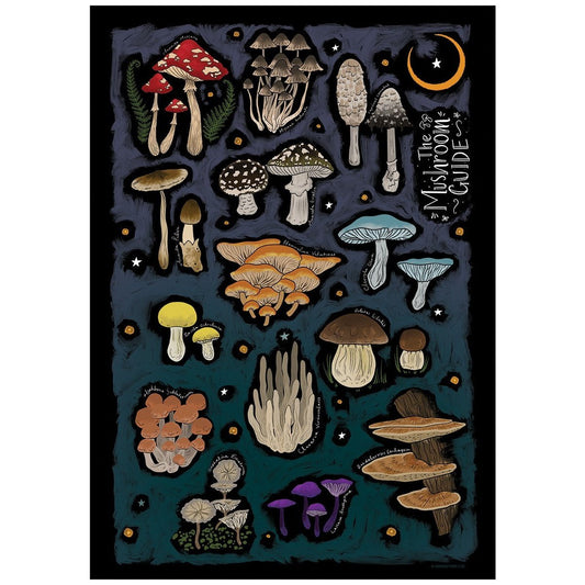 The Mushroom Guide Mini Poster