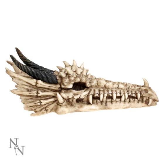 Draco Skull Incense Holder 24cm